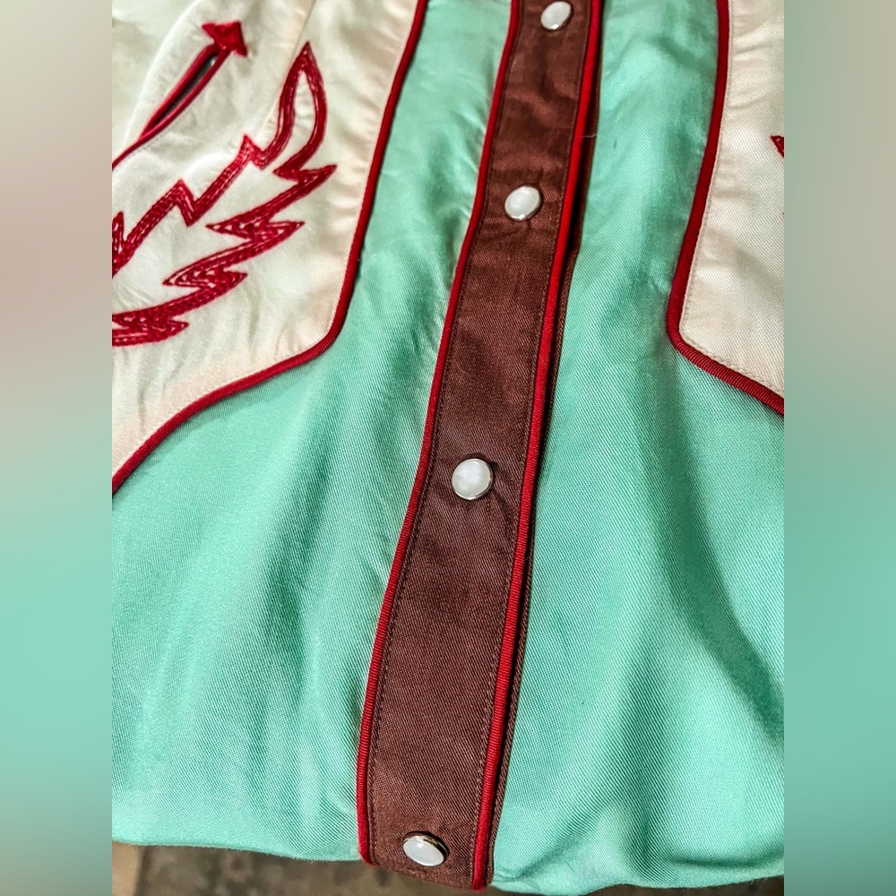 Double D Ranch Fabulous Wilding Heart Skirt Size 6 - Picture 3 of 8